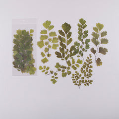 6pcs Flower Stickers Pet Decorative Scrapbook Decor