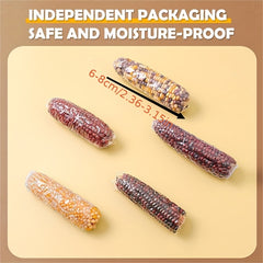 Hamster Teeth Grinding Corn Stick Small Pet Chewing Snack