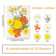 12pcs Resin Fillers Dry Flowers Natural Plant Embossed Dry Flowers Collection