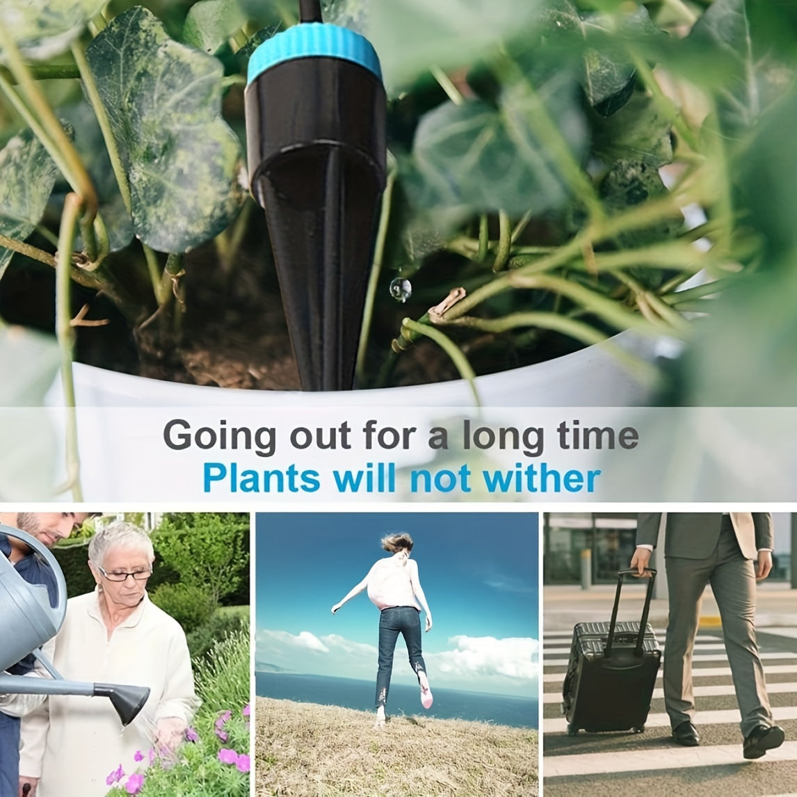 Automatic Indoor Drip Irrigation System with 10 Heads