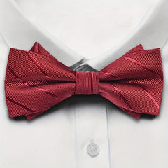 Men's Working Bow Tie Party Holiday Wedding Business