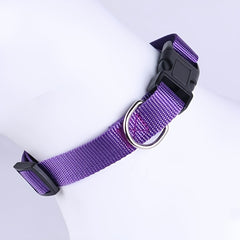 img_4654560