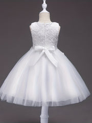 Baby's Lace Princess Gown Dress for Wedding Birthday Party
