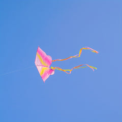 Starlight Butterfly Kite 91m Line Handle Beach Park Yard