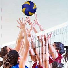 Professional Competition Volleyball No. 5 with Pump