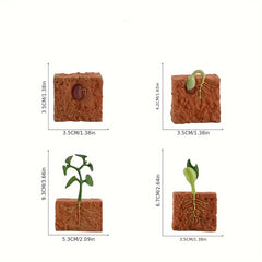 Bean Sprout Salmon Chicken Growth Model