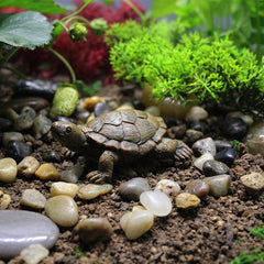 Small Turtle Ornament for Gardening Landscaping and Flower Pot Decoration