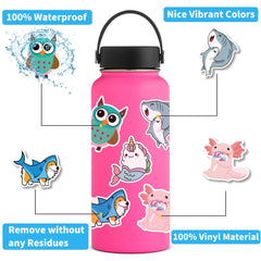 110pcs Water Bottle Stickers Hydroflask Skateboard Laptop Stickers Teens Girls