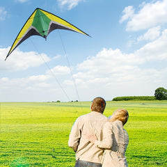 Dual Line Wing Kite for Outdoor Entertainment