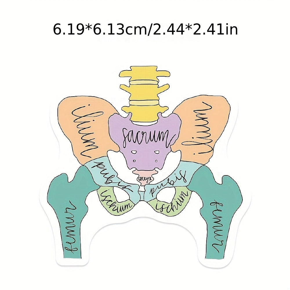 50pcs Anatomy Cartoon Organ Stickers Waterproof Stickers