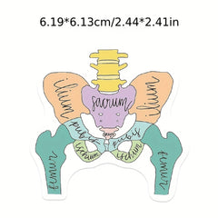 50pcs Anatomy Cartoon Organ Stickers Waterproof Stickers