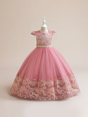 Girls Embroidered Fit and Flare Prom Dress for Party Show