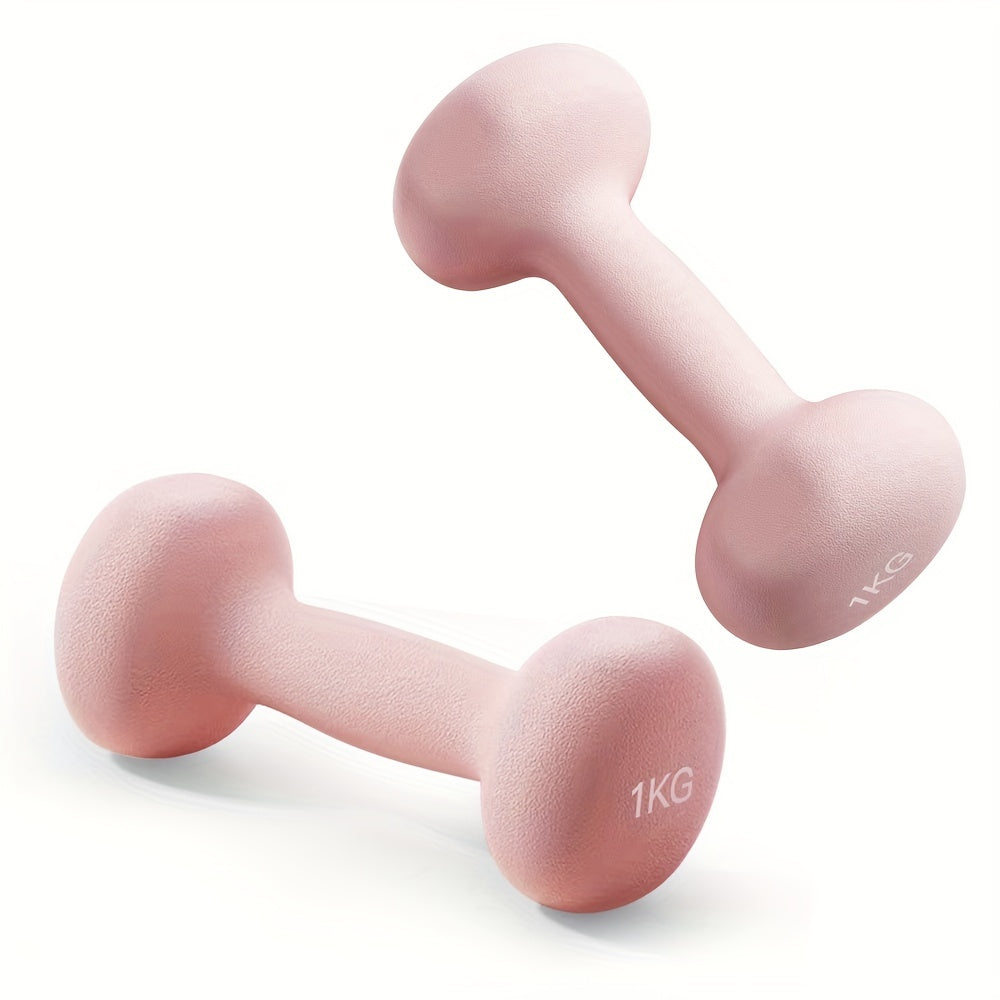 Solid Iron Dumbbell Pair for Home & Outdoor Training