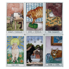 Cartoon Cat Tarot Cards Set for Beginners with Guidebook