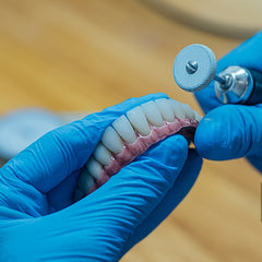 Dental Tooth Model for Teaching Demonstration and Medical Education