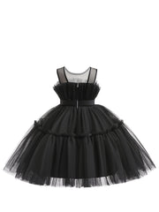 Girls Mesh Ruffled Princess Dress Sleeveless