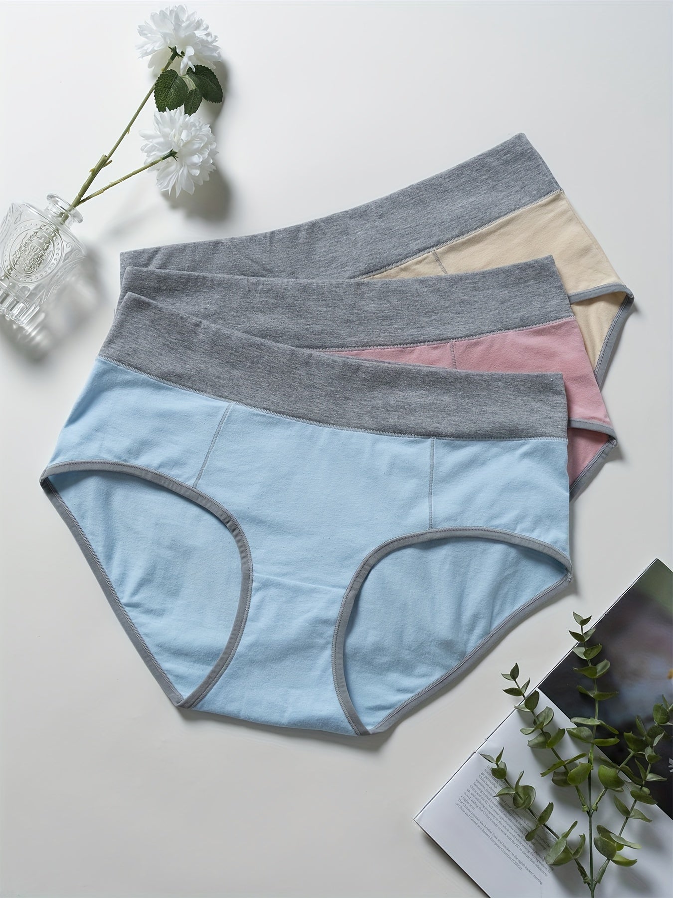 3 Pack Plus Size Colorblock High Rise Panties Set