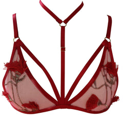Sexy Red Lace Floral Embroidered Harness Bra for Women's Lingerie