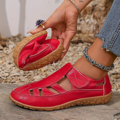 img_4036561