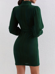 Solid Ribbed Bodycon Dress High Neck Long Sleeve