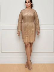 Women's Plus Sequin Lantern Sleeve Party Dress