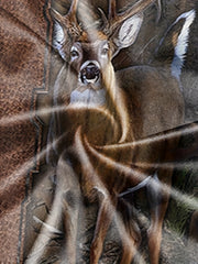 Deer And Branch 3d Pattern Men's 2 Piece Outfits T-shirt And Shorts Set