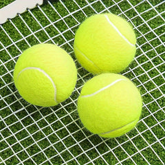 Durable High Elastic Tennis Balls - Set of 12 with Mesh Bag