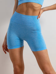Quick Dry Yoga Shorts High Waist Tummy Control Women's Activewear
