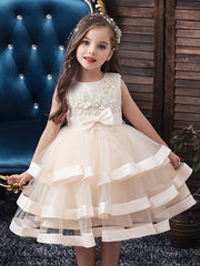 Girls Princess Embroidered Mesh Tutu Dress