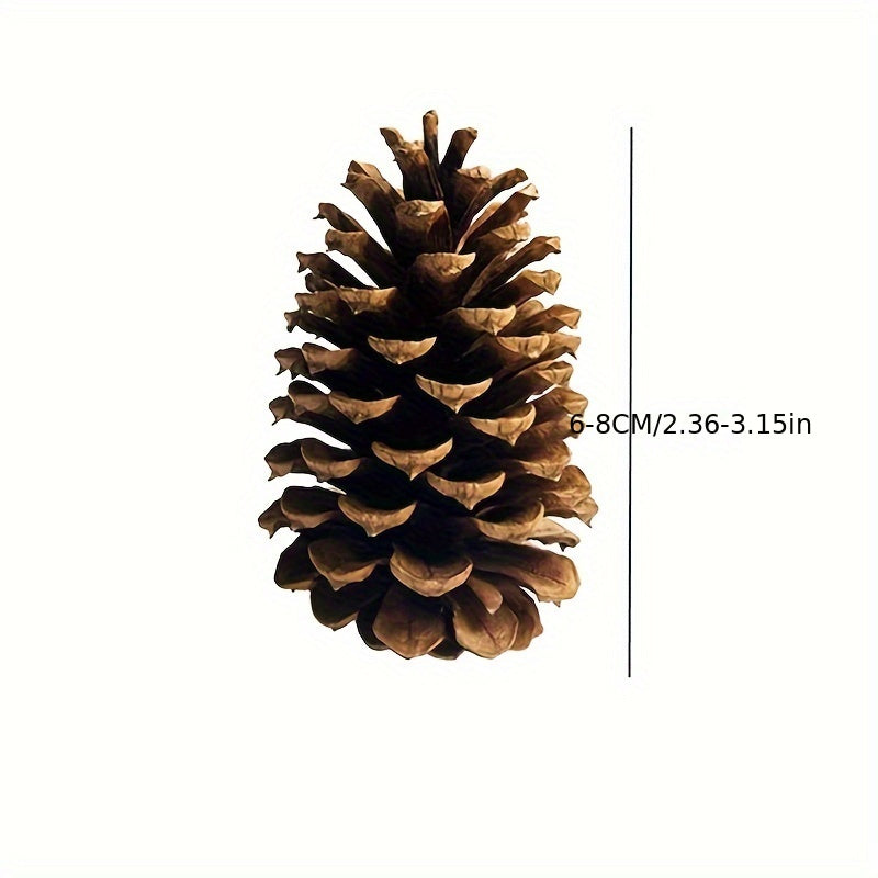 6pcs Christmas Pine Cones Natural Ornaments For Tree Party