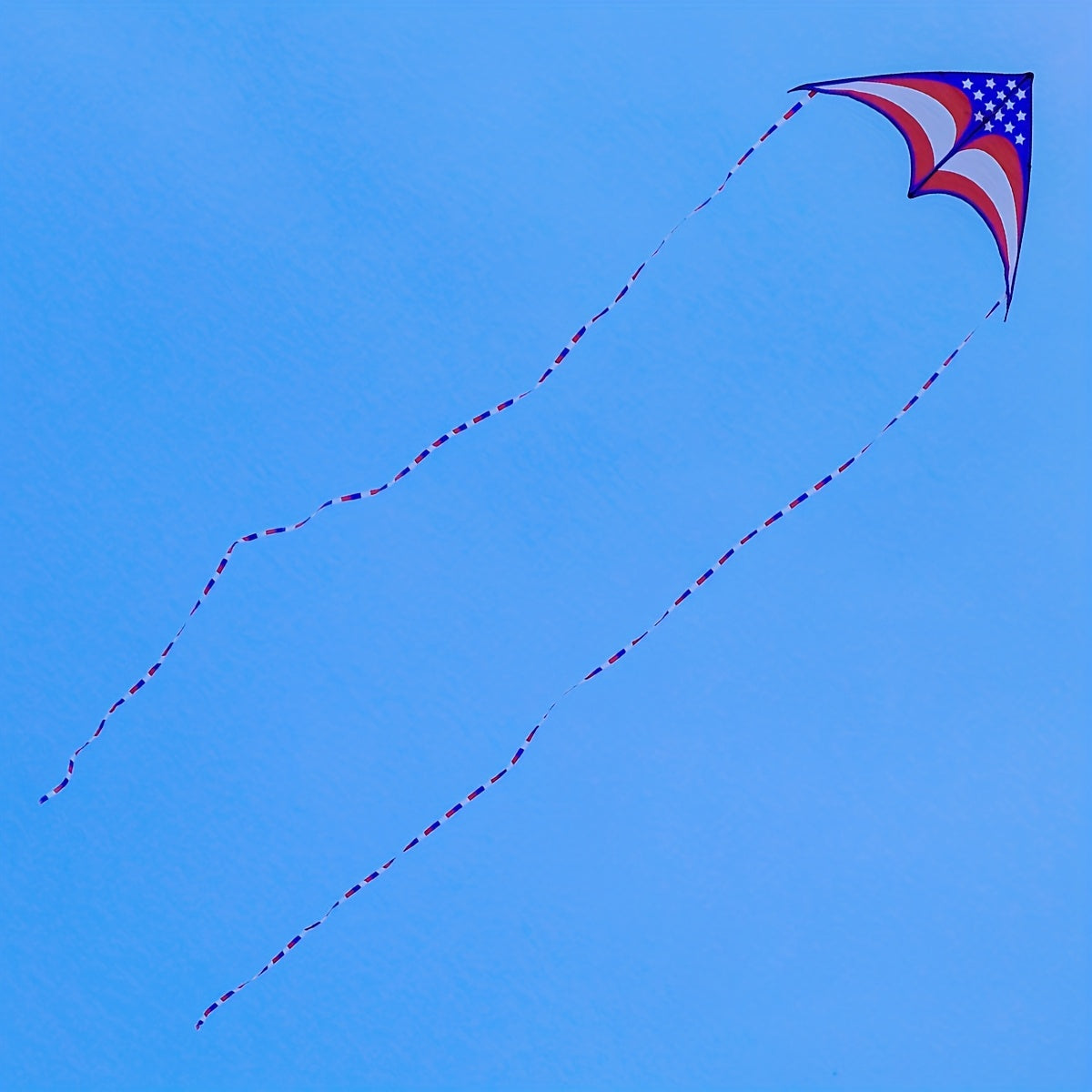 Flag Triangle Kite for Beach Park Yard Outdoor Entertainment