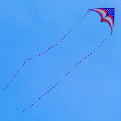 Flag Triangle Kite for Beach Park Yard Outdoor Entertainment