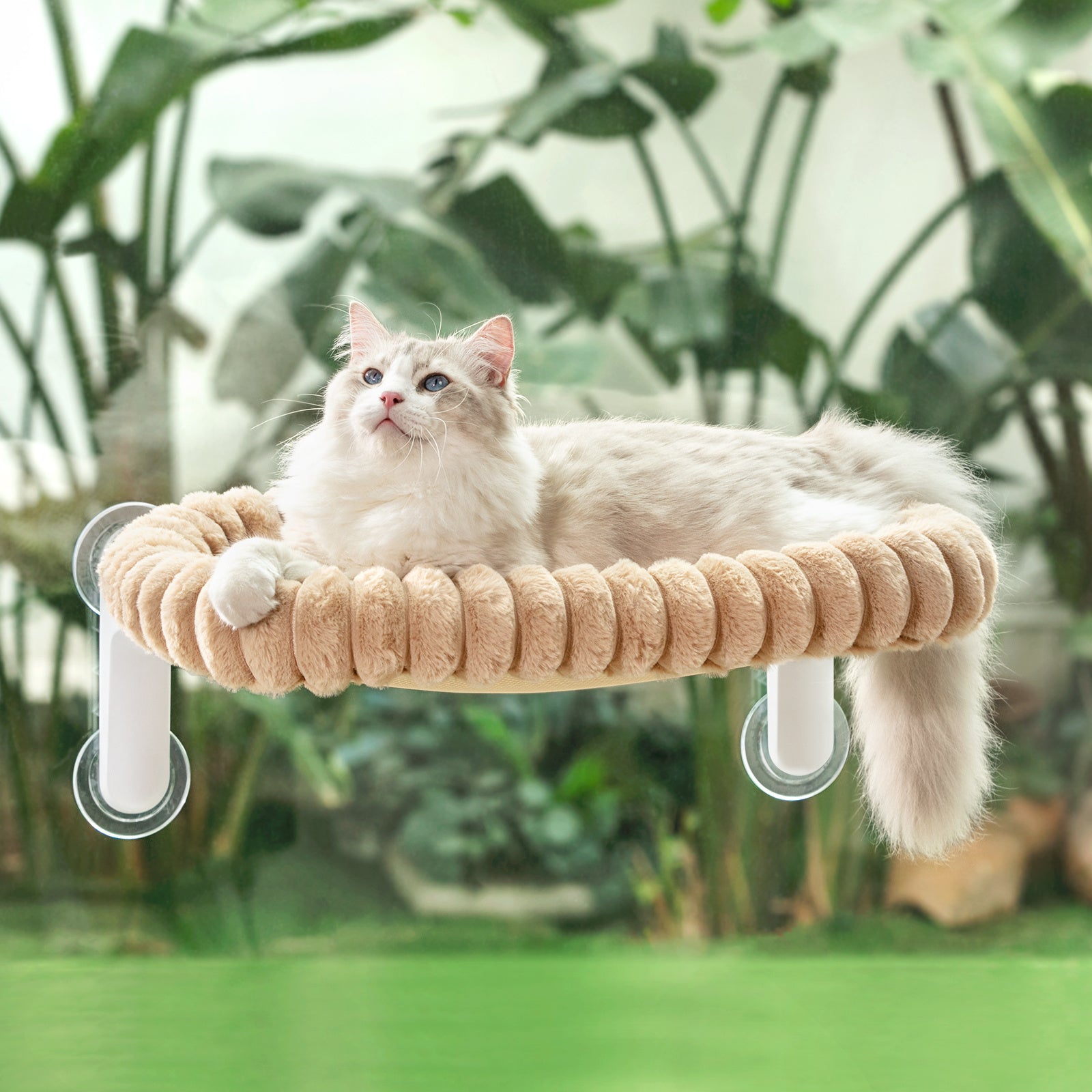 img_4081285