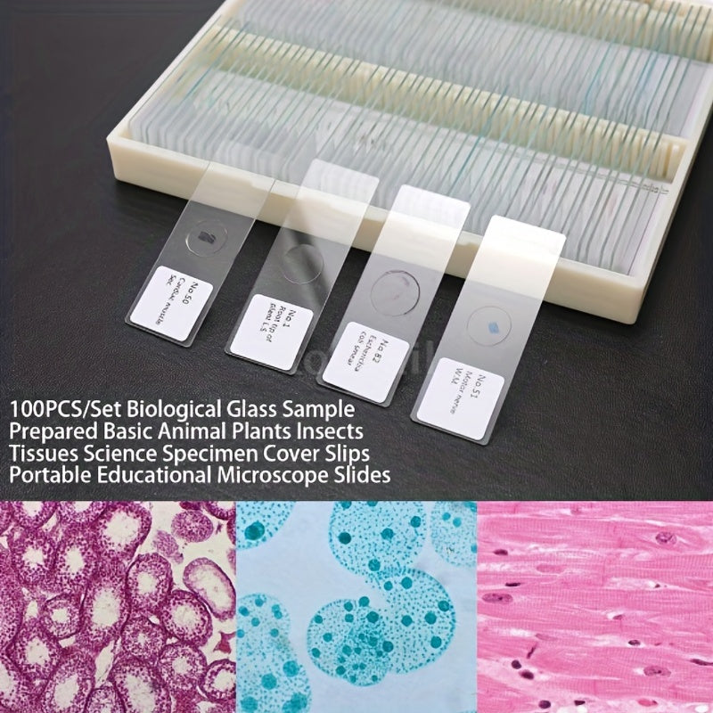100pcs Microscope Slides High Quality Prepared Specimens