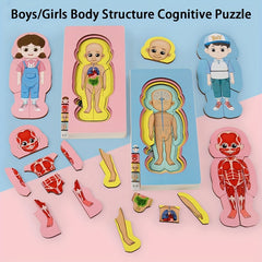 Wooden Anatomy Learning Puzzle Educational Toy for Boys & Girls