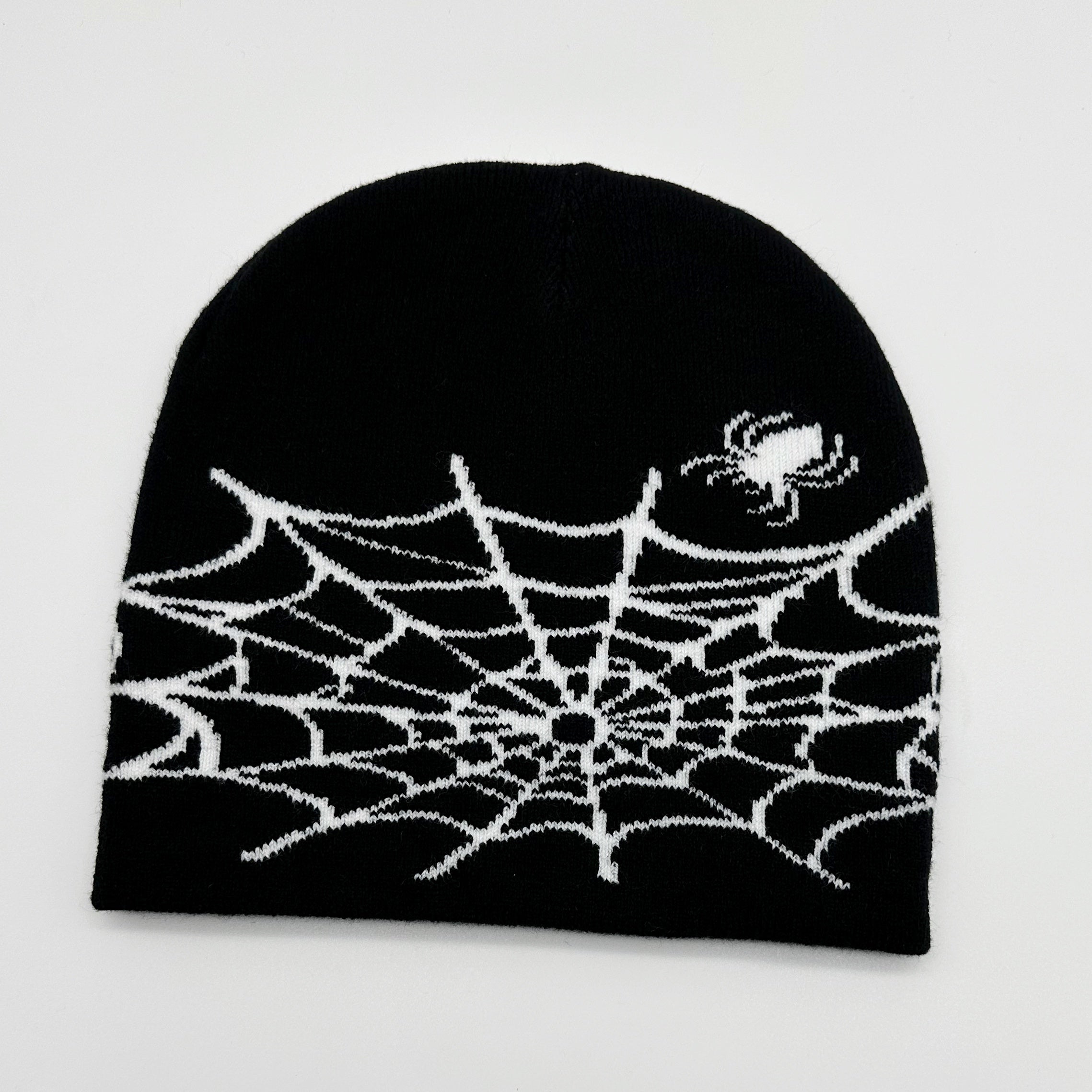 Fashionable Ear Protection Knit Beanie Hat Spider Web Embroidery