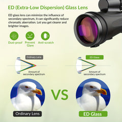 12x50 Waterproof ED Monocular Telescope - Zoom Capable, Lightweight Handheld