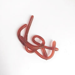 Halloween TPR Soft Rubber Insect And Mollusk Prank Realistic Worm Model Set