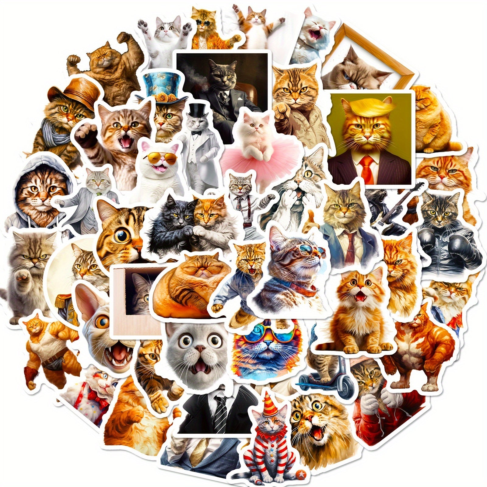 50pcs Funny Cat Head Stickers Laptop Helmet Water Cup Decorative Stickers