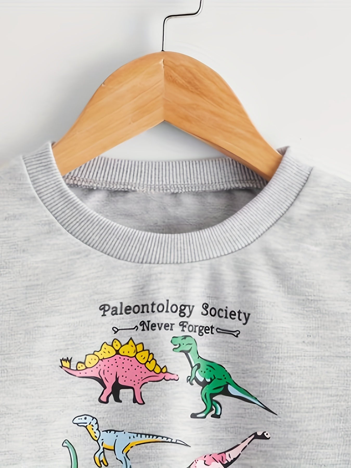 Boys Dinosaur Graphic Long Sleeve Top Kids Sweatshirt