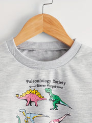 Boys Dinosaur Graphic Long Sleeve Top Kids Sweatshirt