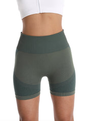 Seamless High Waist Sporty Short for Women