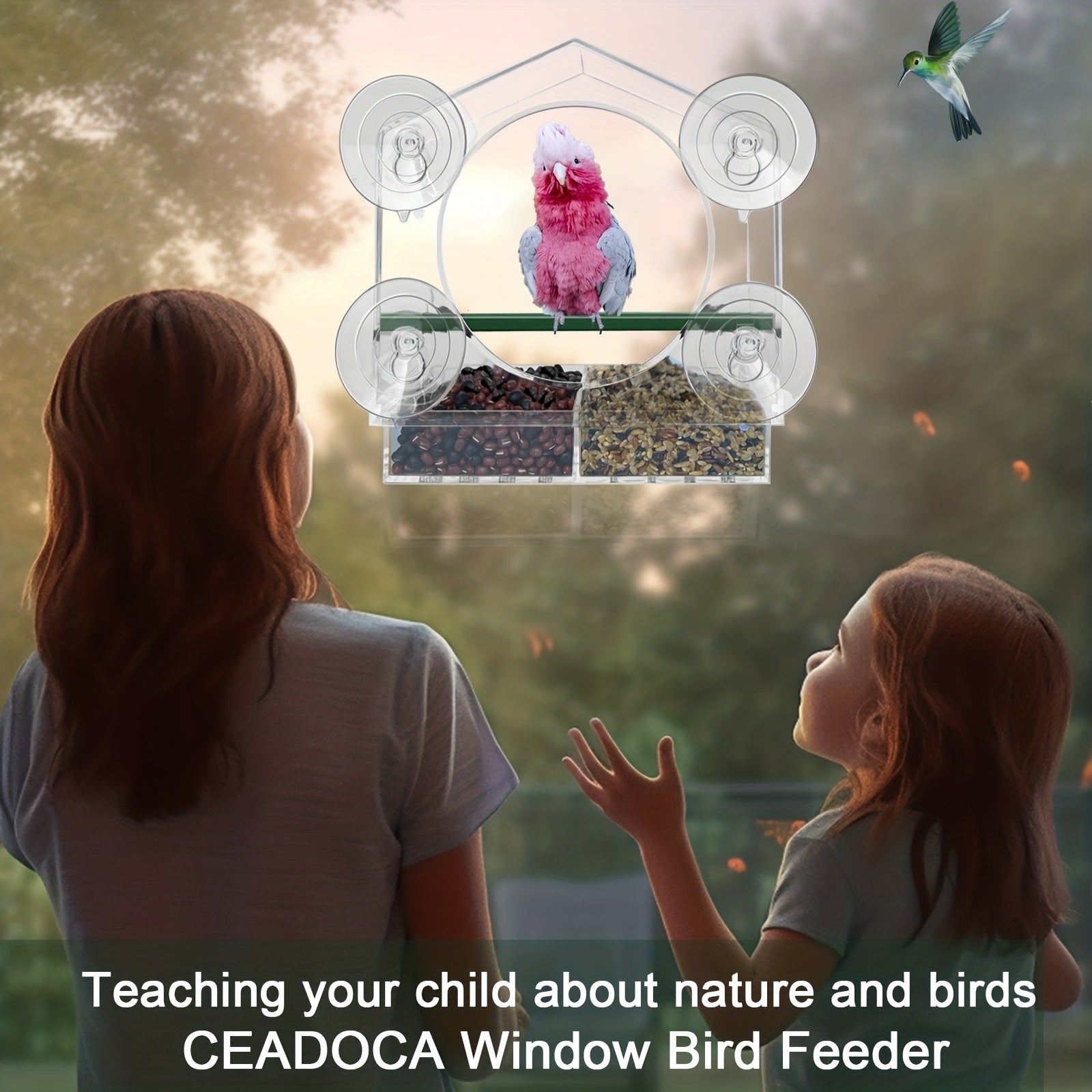 Window Bird Feeder w/ Strong Suction Cups - 3 Compartment Tray