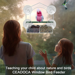 Window Bird Feeder w/ Strong Suction Cups - 3 Compartment Tray