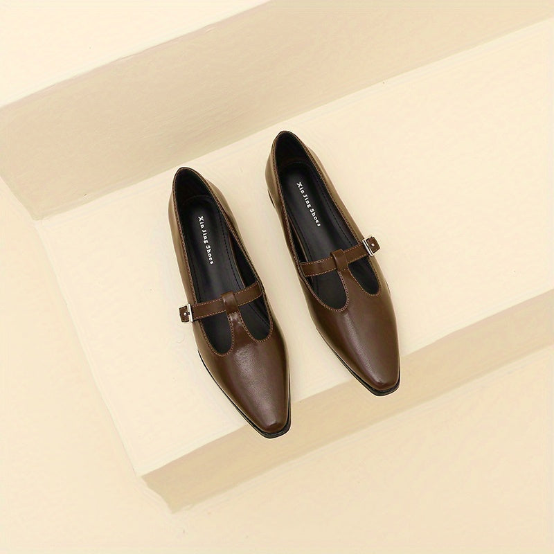 Chunky Low Heel Mary Shoes Buckle Strap Comfortable Walking Shoes