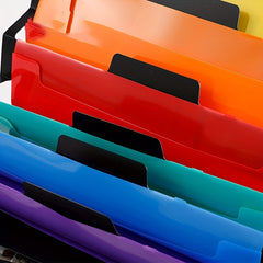Wall Hanging File Organizer with 6 Removable Poly Hanging File Folders