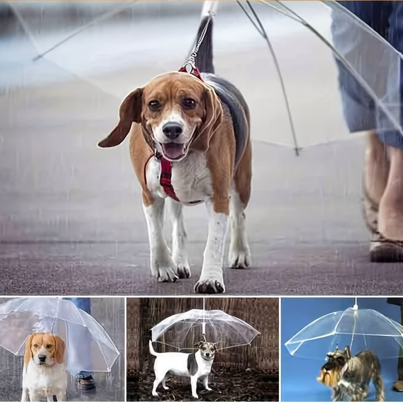 Pet Dog Transparent Umbrella Rainproof Walking Dog Leash Umbrella