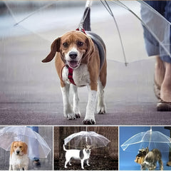 Pet Dog Transparent Umbrella Rainproof Walking Dog Leash Umbrella