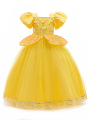 Princess Party Dress for Girls Birthday Halloween Ball Gown