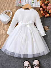 Girls Flowers Embroidered Belt Mesh Tutu Dress